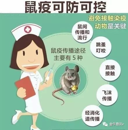 冬天到了，新区人必知的鼠传染疾病预防指南