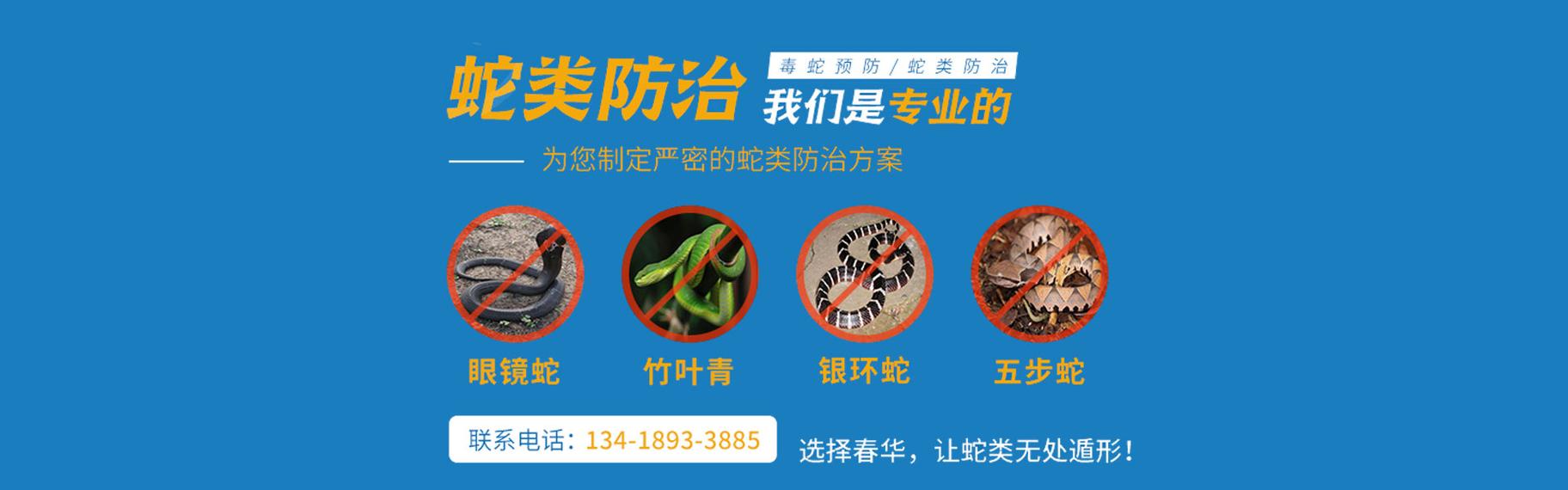 专业虫害防治服务 嵊州上门灭鼠与防虫灭鼠全面指南